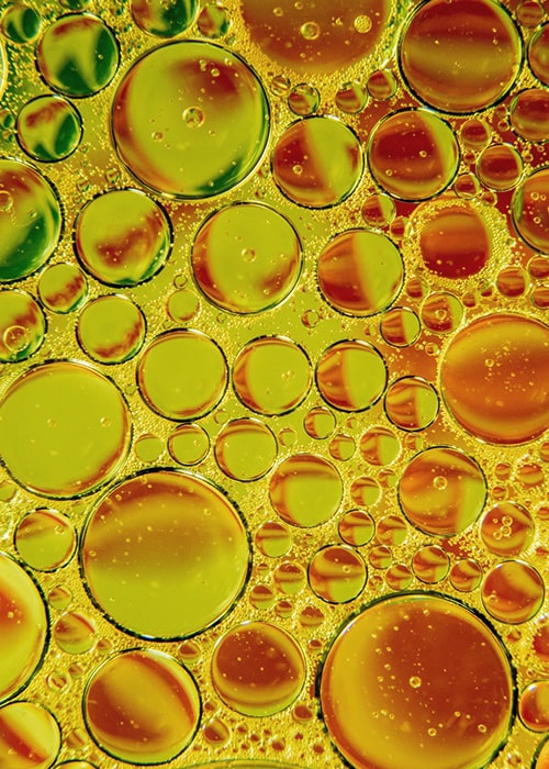 Fine chemical processing equipment