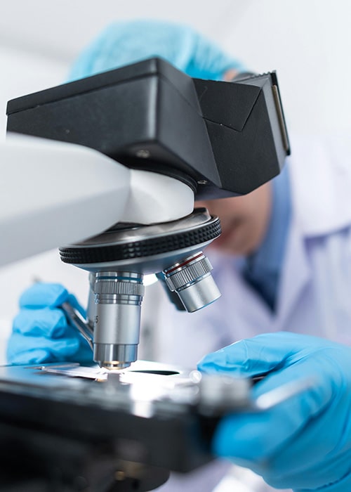 Pharmaceutical processing equipment